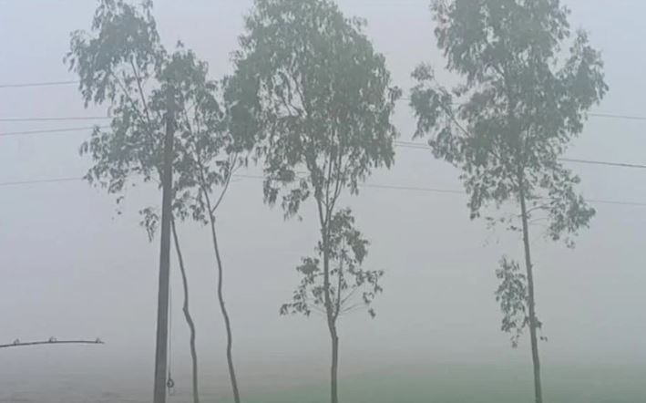 কুয়াশার চাদরে ঢাকা...