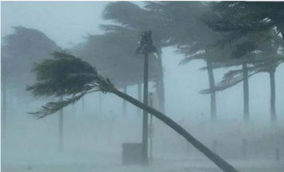 ৬০ কিমি বেগে ঝড়ের প...