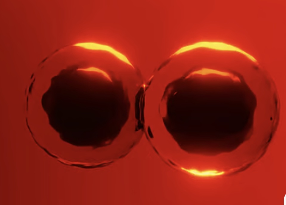 আবিষ্কৃত হলো কোষ বিভাজনের নতুন কৌশল