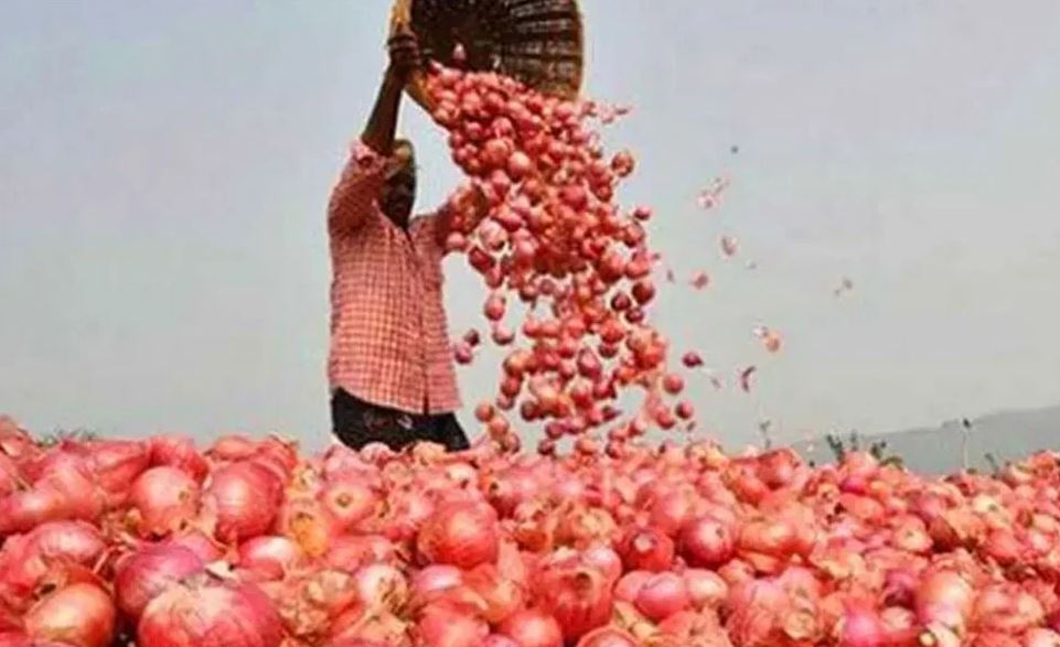 পিয়াজ রপ্তানিতে নিষেধাজ্ঞা তুলে নিল ভারত