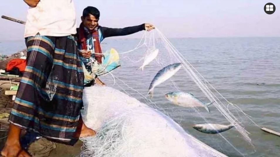 ১৩ অক্টোবর থেকে ২২ দিন ইলিশ ধরা নিষিদ্ধ